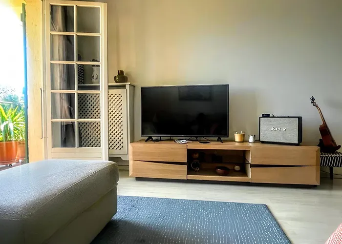 Superb In Provenzal With Pool 昂蒂布