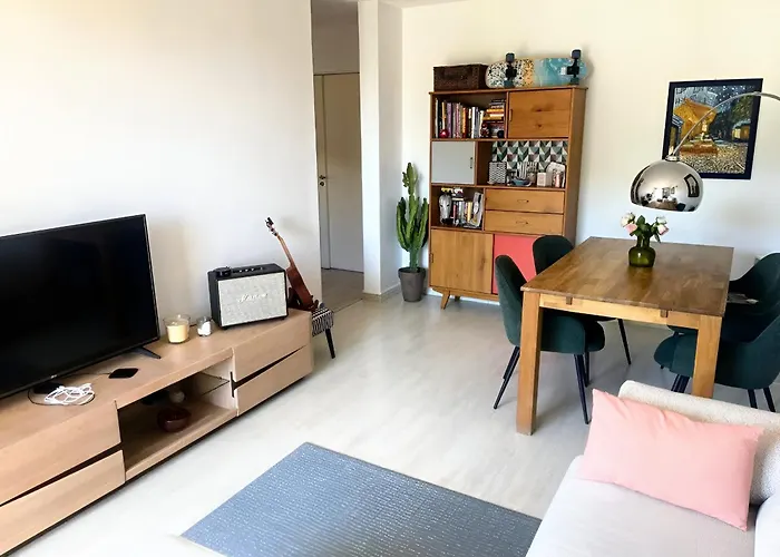 Superb In Provenzal With Pool * 昂蒂布