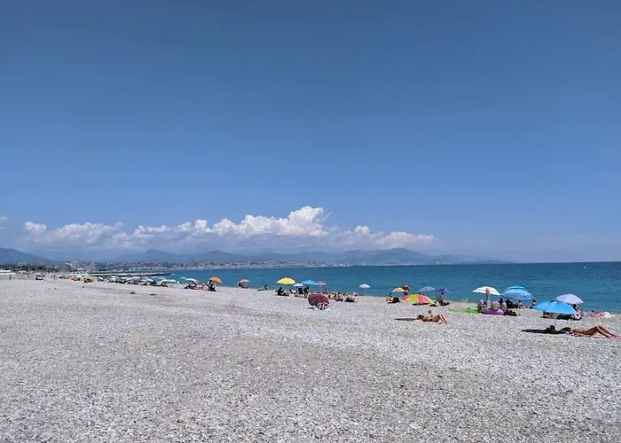 Daire Superb In Provenzal With Pool Antibes